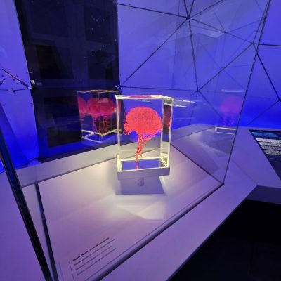 0-02-05-3eb72d29f46e11e1f713296dce345504db7e2cc6a76090bc3a2fd99a36a1222f_fb404ffc87ba790