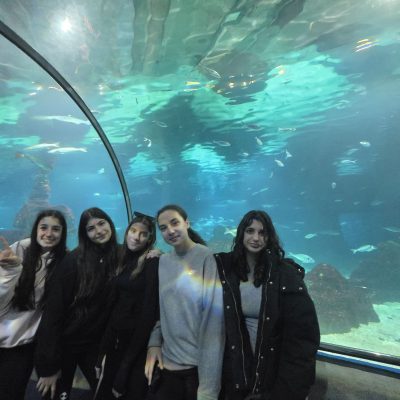 0-02-05-60e9e37aebe759af6fe1e5a4ddcf397677f799fd934d892162988eb1b6f93509_136ce4f3276fcb9f