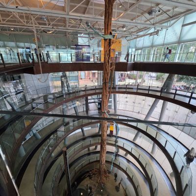 0-02-05-6feafaf876bc24bf05bd533c87a9dbf940a41a578ef9957881638f748b64cefc_62505916aba4cb78