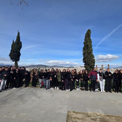 0-02-05-91a1fdee50dfa6f0f66a7d1e7c7b1e31c886da343a06b7c099a7502494e02f6e_890a4e6498c95111