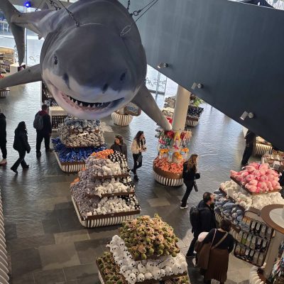 0-02-05-b4df186be35bca4a65b72cd2fe6ebc03dd2f71a8f21c7fc8d47dab04ff5930e4_afc98358f65f6e75