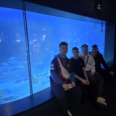 0-02-05-cce919128049a6f56ce216f4810df9178a7871bc7616f9f07b607d50dfee0e9d_a5d26f85a5d05356