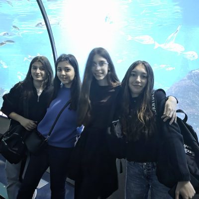 0-02-05-dbc423e69e0785999cc3a741b24868ca0742da890095c42f6b4d4533d276a915_c2be18624c752c4e