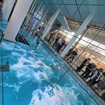 0-02-05-f358f9813160a176076267cb9666d6bcbef7c8cfe2d1a9efc04d4731bd1d17d2_2ef4df336abe72d0