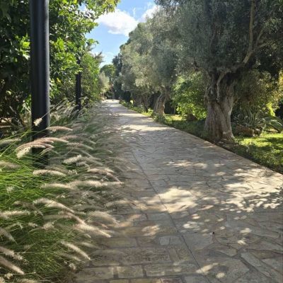 Βοτανικό Πάρκο-1