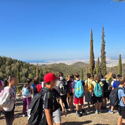 Δάσος Υμηττού-13