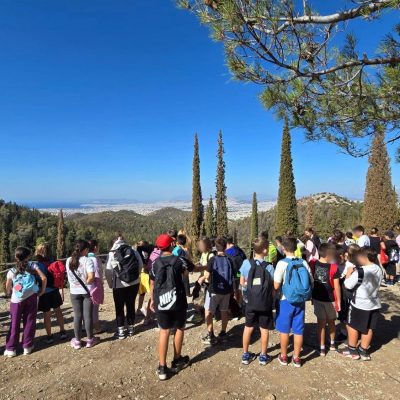 Δάσος Υμηττού-15