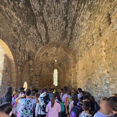 Δάσος Υμηττού-17