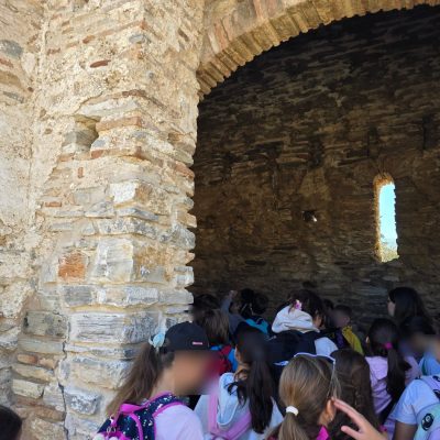 Δάσος Υμηττού-18