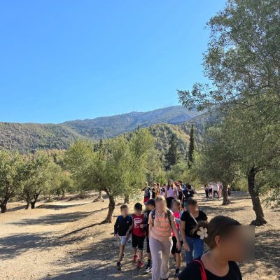 Δάσος Υμηττού-19