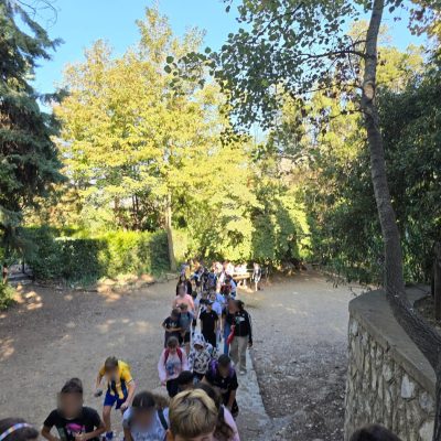 Δάσος Υμηττού-2