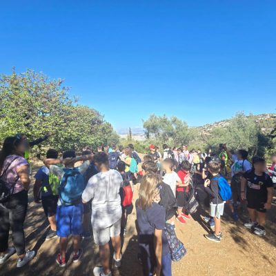 Δάσος Υμηττού-21