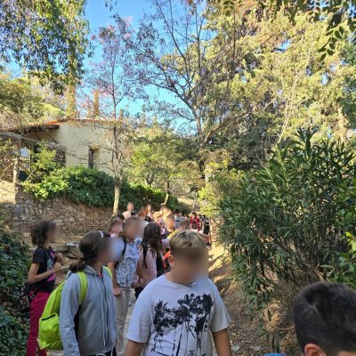 Δάσος Υμηττού-23