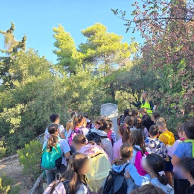 Δάσος Υμηττού-24