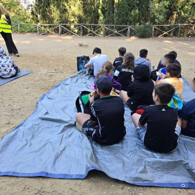 Δάσος Υμηττού-25