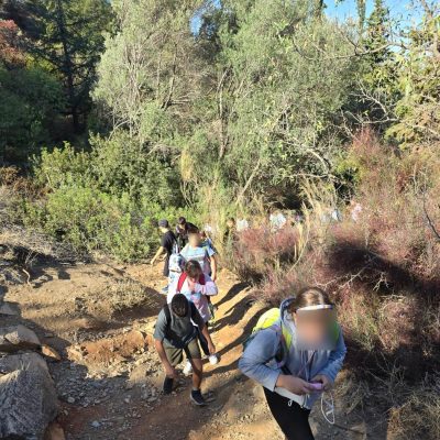 Δάσος Υμηττού-26