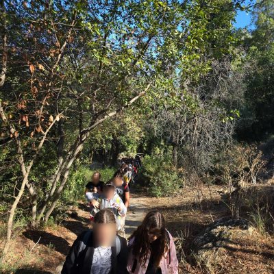 Δάσος Υμηττού-29