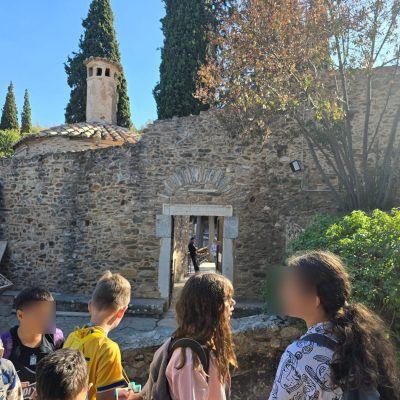 Δάσος Υμηττού-3