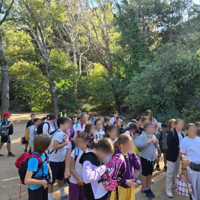 Δάσος Υμηττού-30