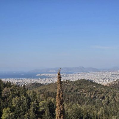 Δάσος Υμηττού-38