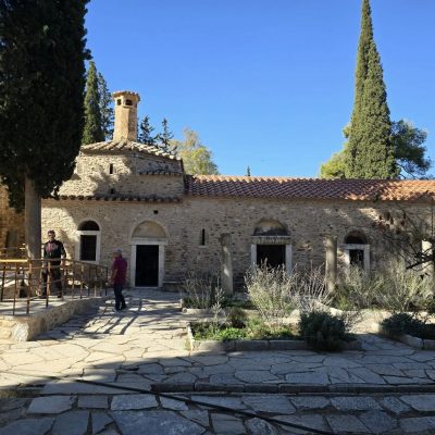 Δάσος Υμηττού-41