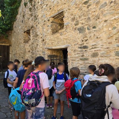 Δάσος Υμηττού-6