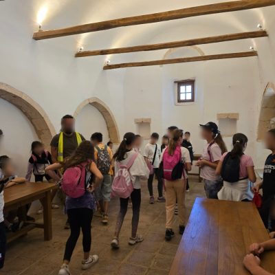 Δάσος Υμηττού-9