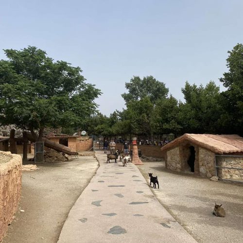 Εκδρομή Αττικό Πάρκο - 11