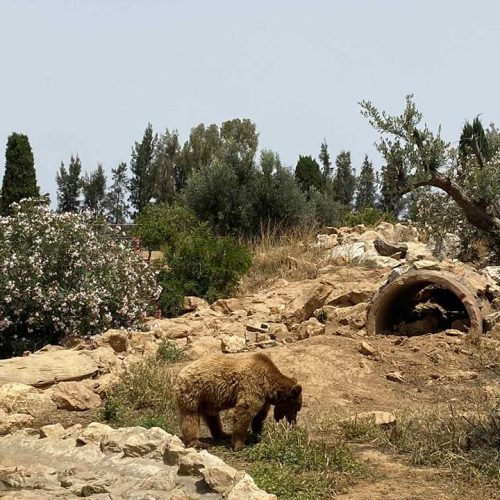 Εκδρομή Αττικό Πάρκο - 13