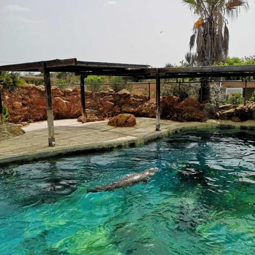 Εκδρομή Αττικό Πάρκο - 14