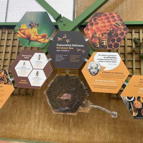 Εκδρομή Αττικό Πάρκο - 15