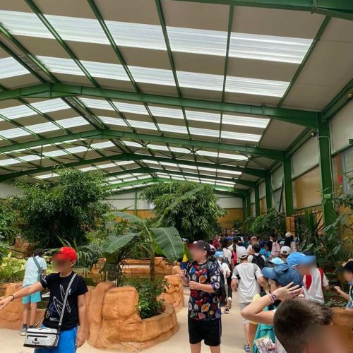 Εκδρομή Αττικό Πάρκο - 5