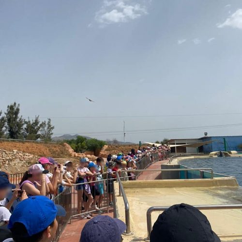 Εκδρομή Αττικό Πάρκο - 6