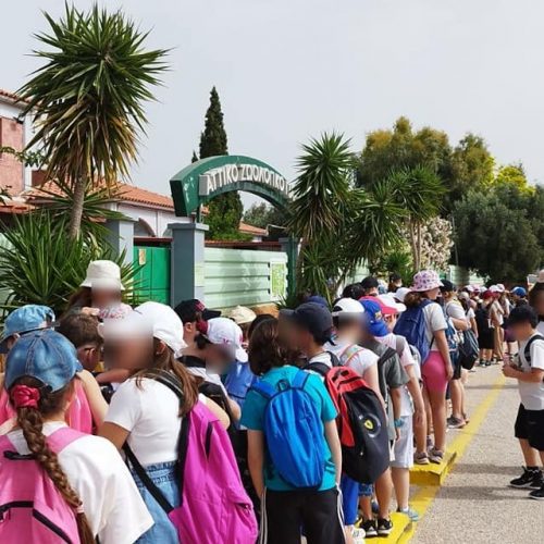 Εκδρομή Αττικό Πάρκο - 7