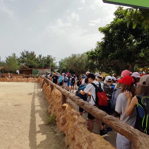 Εκδρομή Αττικό Πάρκο - 9