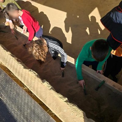 Μικροί Αρχαιολόγοι (16)