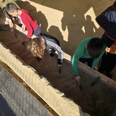 Μικροί Αρχαιολόγοι (28)