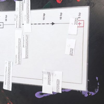 Μουσείο Πειραμάτων-23