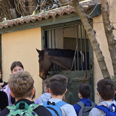 Πάρκο Τρίτση-15