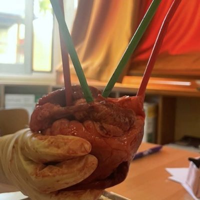 βιολογίας -2