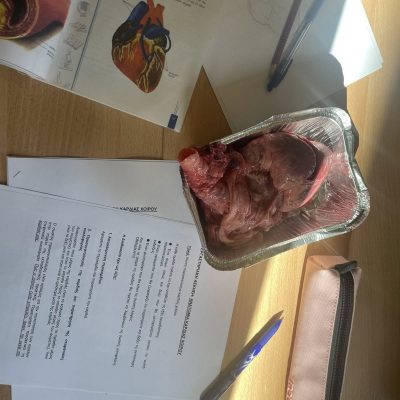 βιολογίας -3