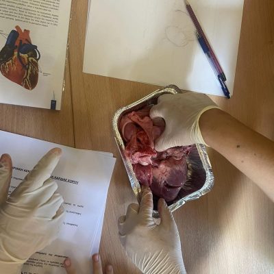 βιολογίας -6