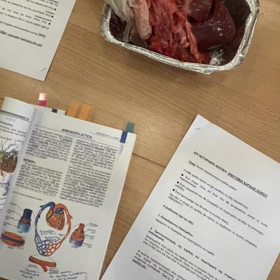 βιολογίας -7